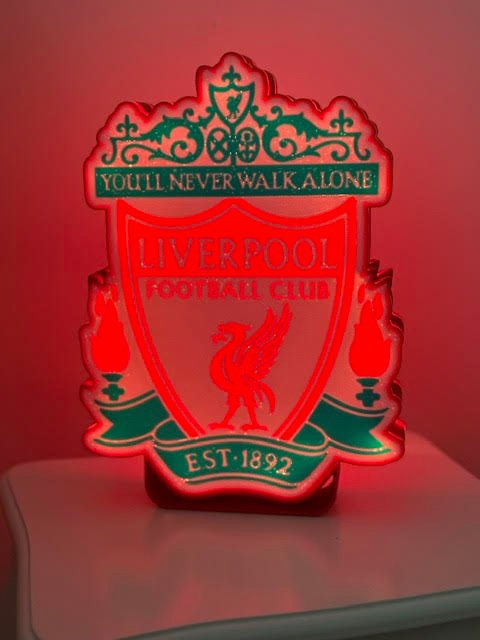 Dont Walk Alone - Liverpool Light Box - Image 2